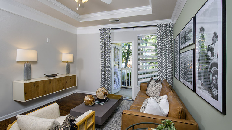 Living Room with 9-foot Ceiling and Tray Accents